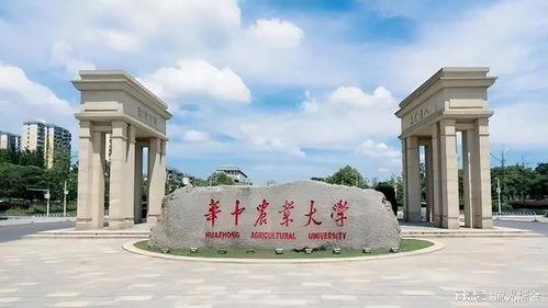 华中农大最新爆料事件,校园事件引发社会关注